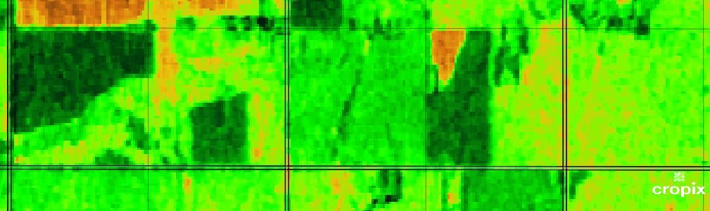 enhanced SAR vegetation index